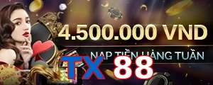 TX88